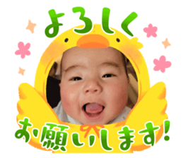 675303239