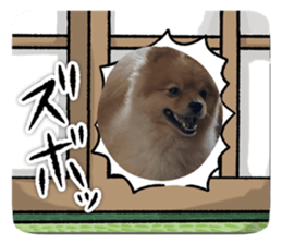 675305466