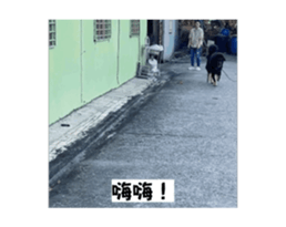 675305542