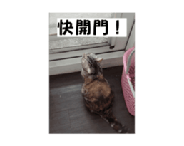 675305553