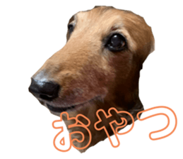 675310617