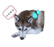 675313578