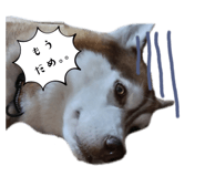 675313580