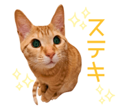 675320844
