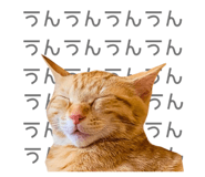 675320851