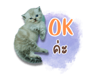 675332176