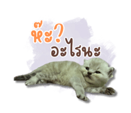 675332177