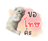 675332181