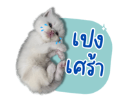 675332184