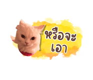675332186