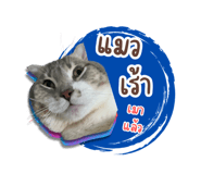675332189