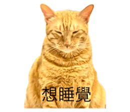 675344994