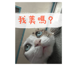 675346763