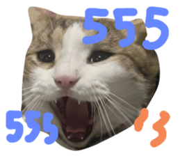 675356235