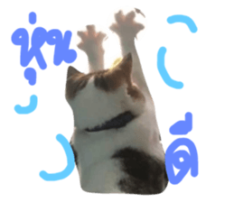 675356237