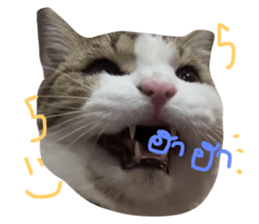 675356239