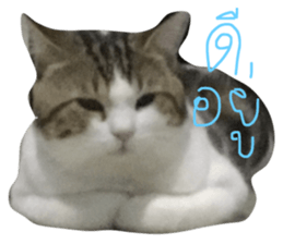 675356240