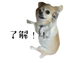 675384592