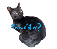675387425