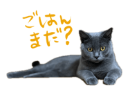 675387429
