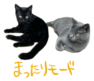 675387437