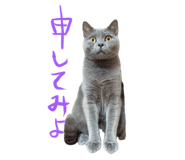 675387441