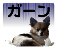 675388067