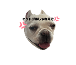 675388230