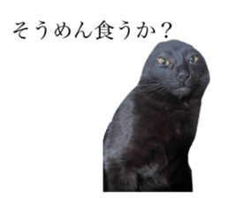 675397305