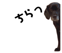 675400881
