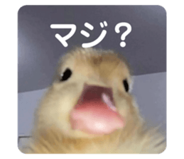 675425078