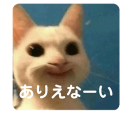 675425084