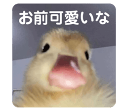 675425085