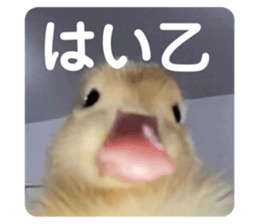 675425092