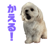 675433389