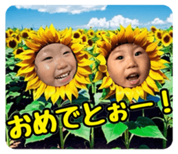 675434508
