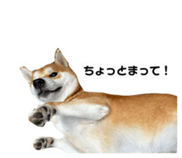 675439820