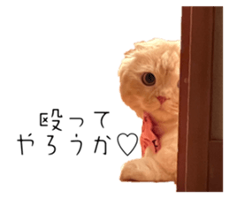 675440726