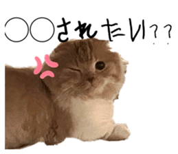 675440733