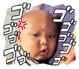 675443630