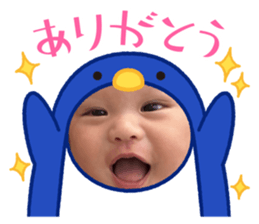 675443631