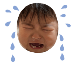 675444182