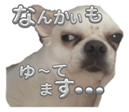 675450151