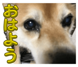 675451462
