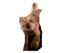 675456837