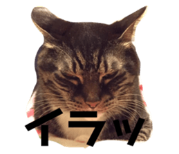 675458025