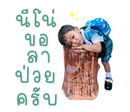675506184