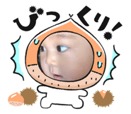 675508090