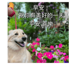 675508707