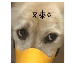 675508708